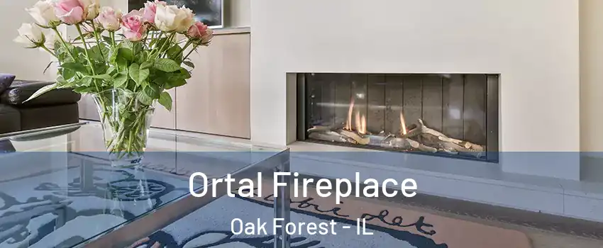 Ortal Fireplace Oak Forest - IL