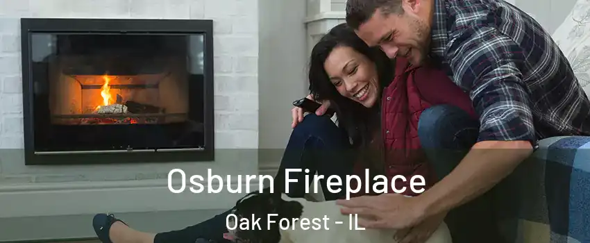  Osburn Fireplace Oak Forest - IL